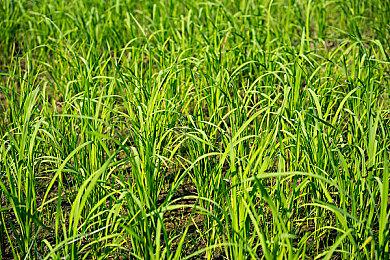 RX 7900 XTX显卡IGN 7分 具有一定的性价比