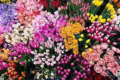 《恐怖历险》登陆Steam SF超能力恐怖探索